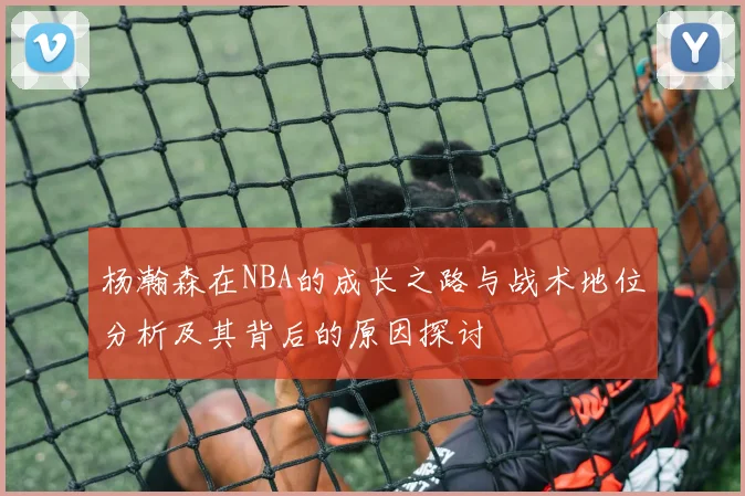 杨瀚森在NBA的成长之路与战术地位分析及其背后的原因探讨