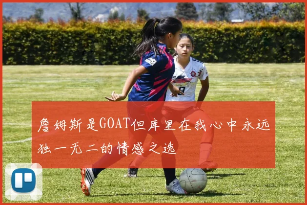 詹姆斯是GOAT但库里在我心中永远独一无二的情感之选